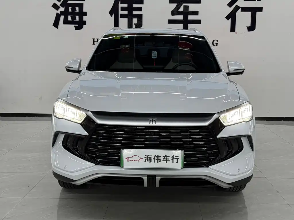 BYD Pro New Energy 2025 — фото 2