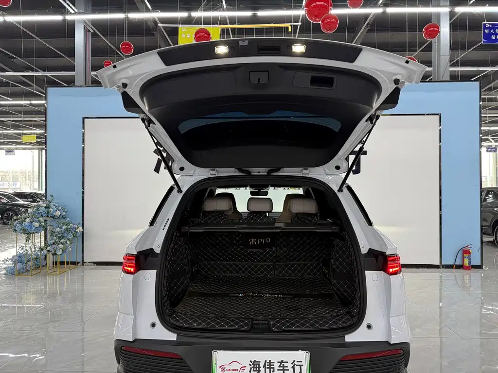 BYD Pro New Energy 2025 — фото 6