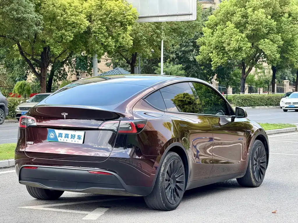 Tesla Model Y 2023 — фото 4