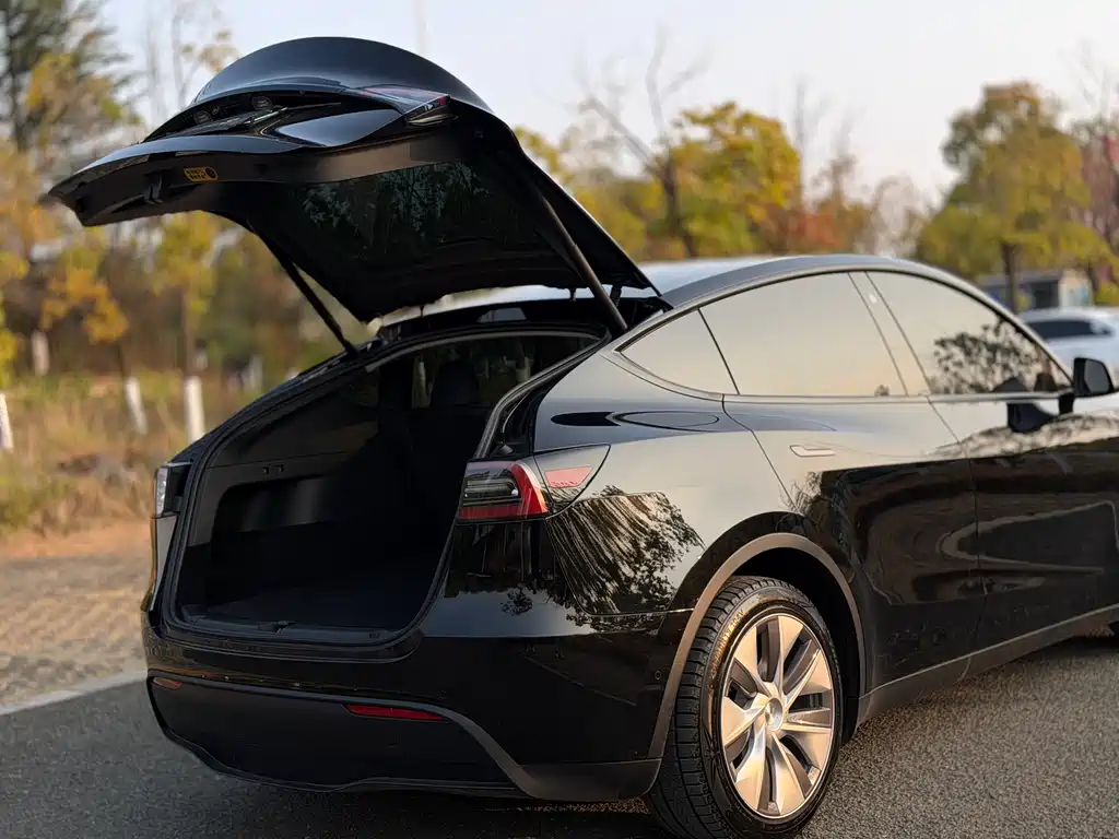 Tesla Model Y 2023 — фото 23