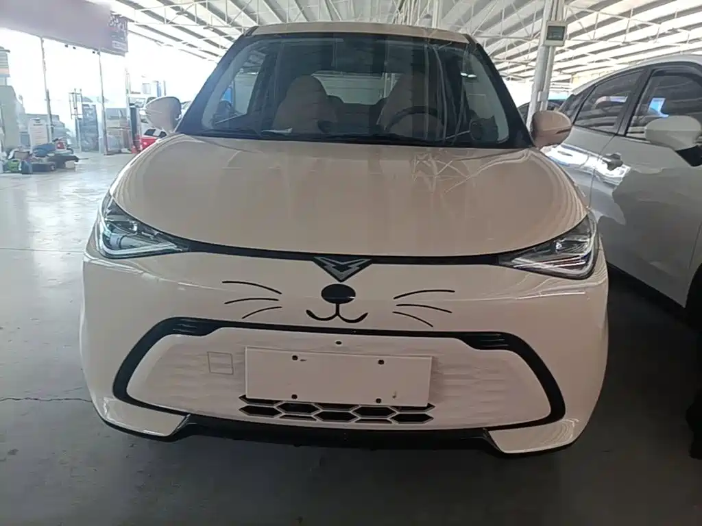 Kaiyi Shiyue 2024