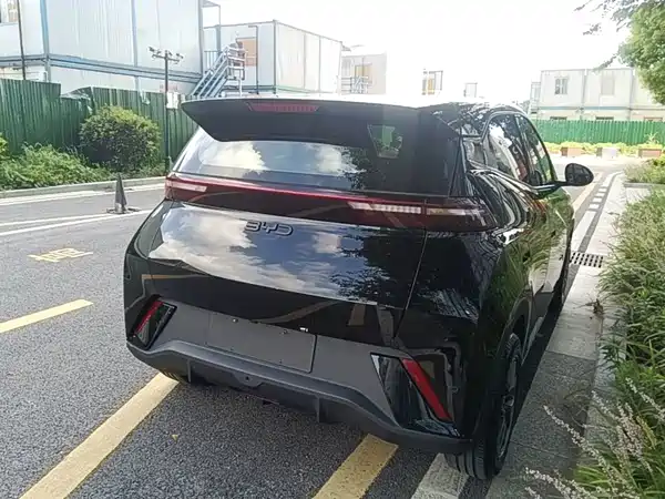 BYD Seagull 2024