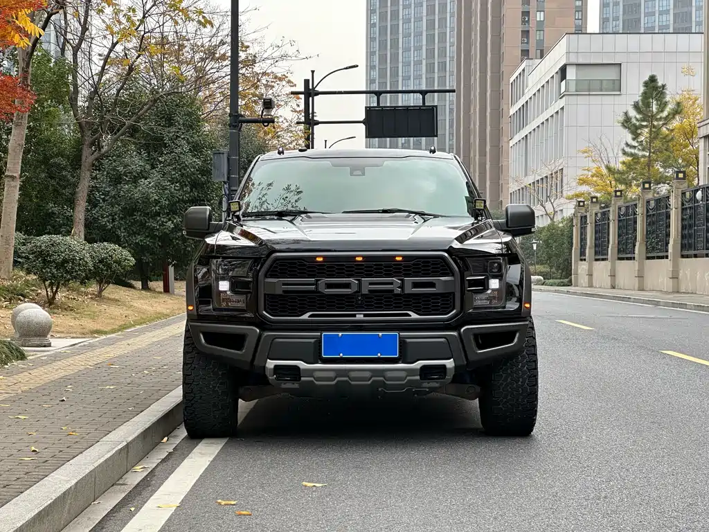 Ford F-150 Raptor 2018 — фото 2