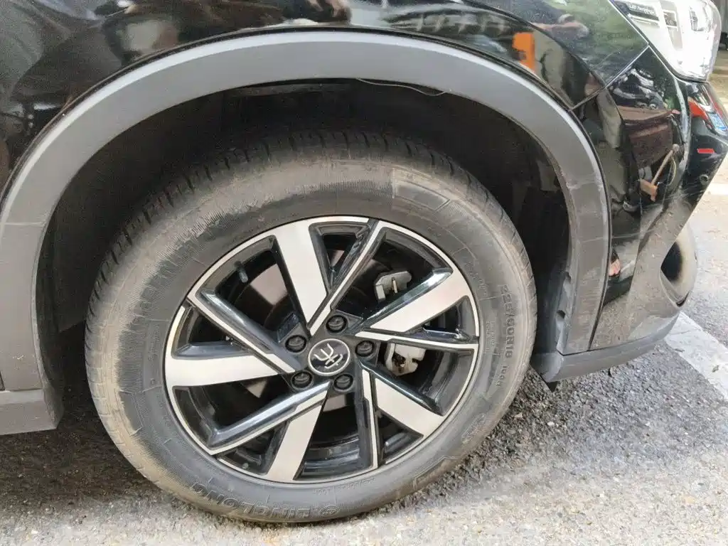 BYD Song Pro New Energy 2024 — фото 8
