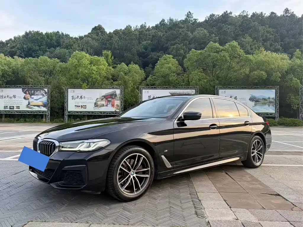BMW 5 Series 2021