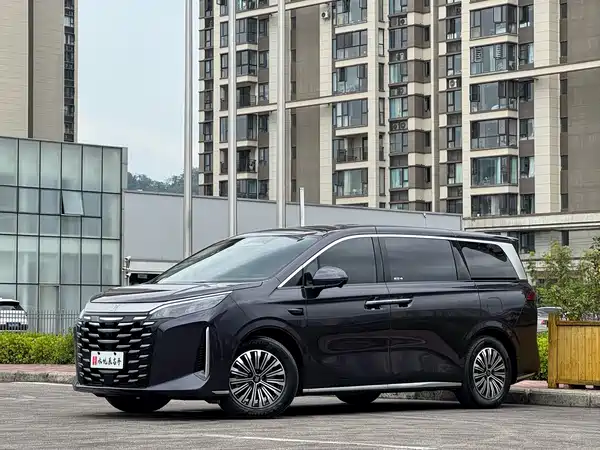 BYD Summer 2025