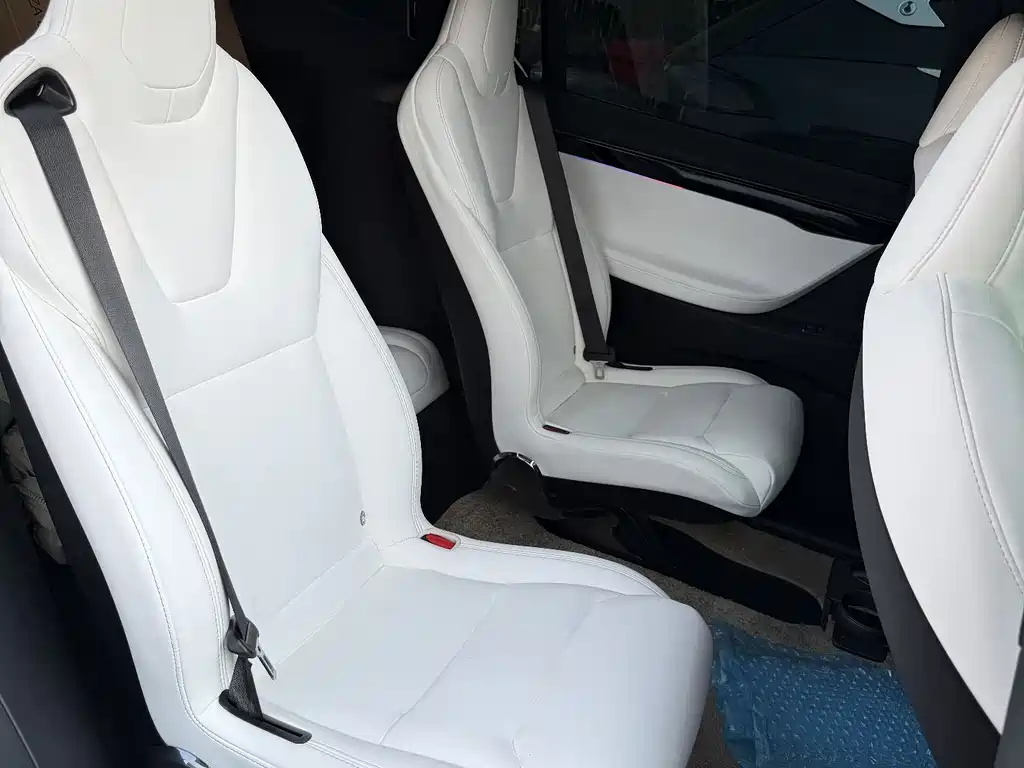 Tesla Model X 2020 — фото 11