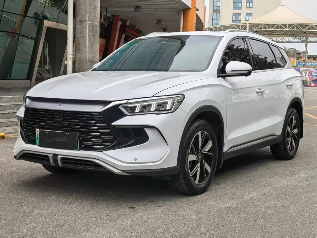 BYD Pro New Energy 2025 — фото 1