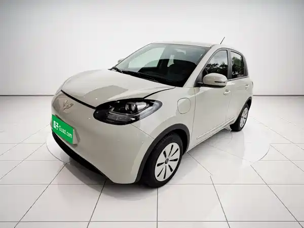 Wuling Bingo 2024