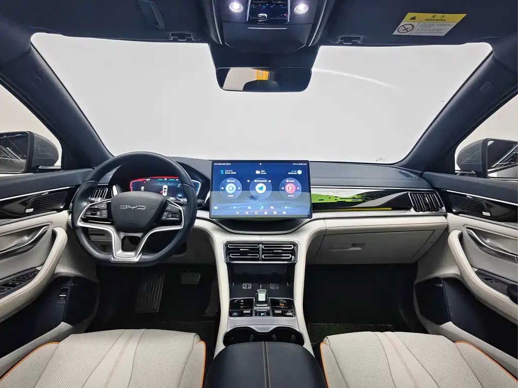 BYD Song PLUS New Energy 2023 — фото 12