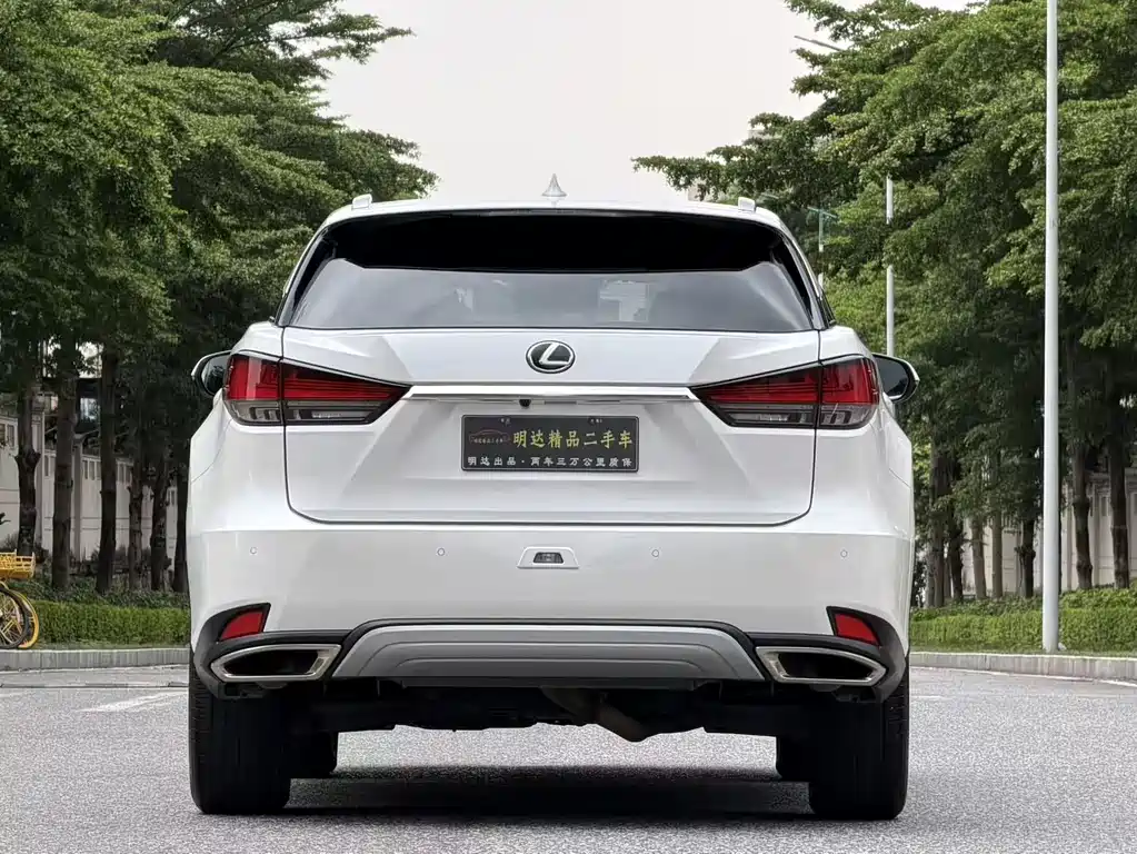 Lexus RX 2020 — фото 6