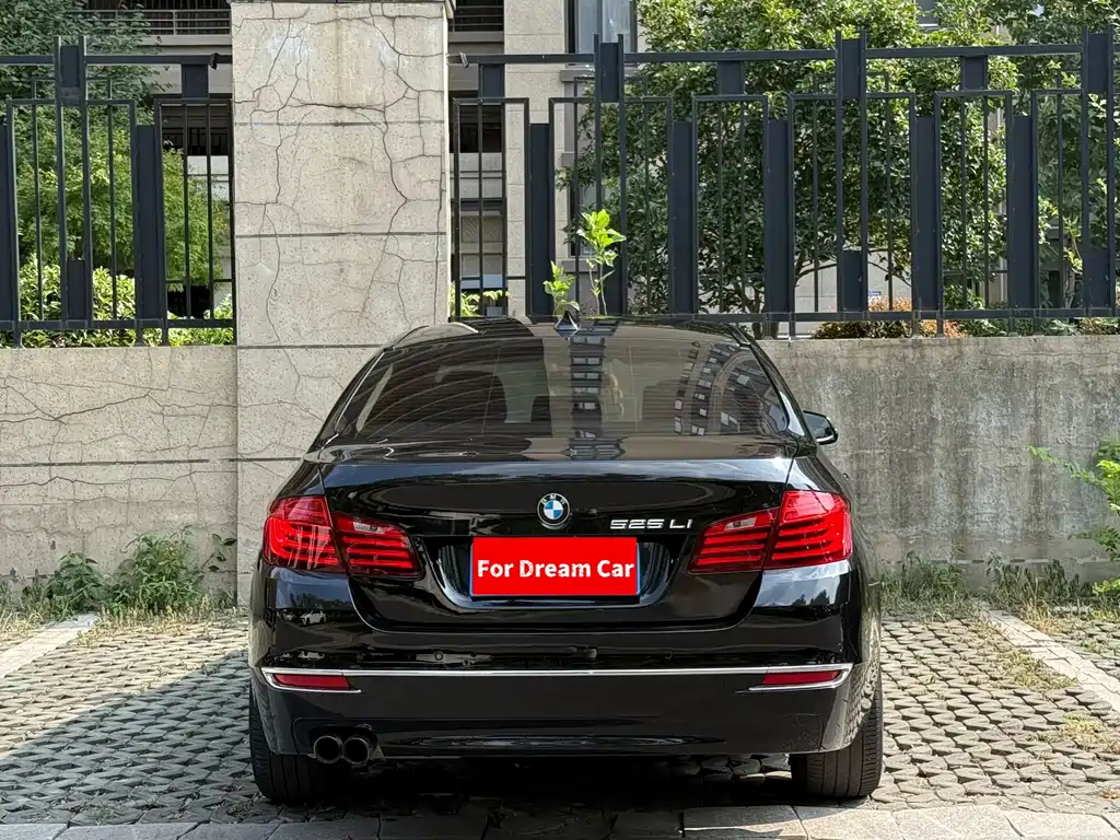 BMW 5 Series 2014