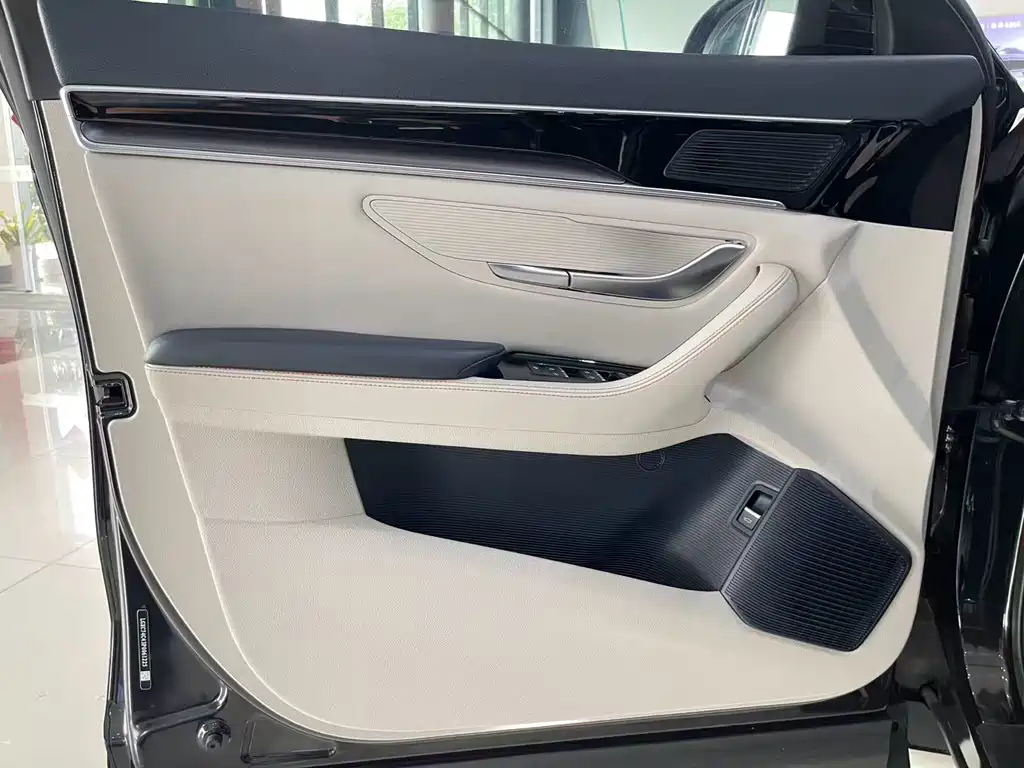BYD PLUS New Energy 2023 — фото 13