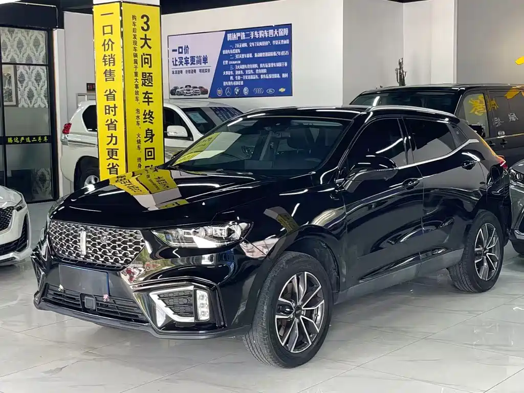 Wey VV5 2020