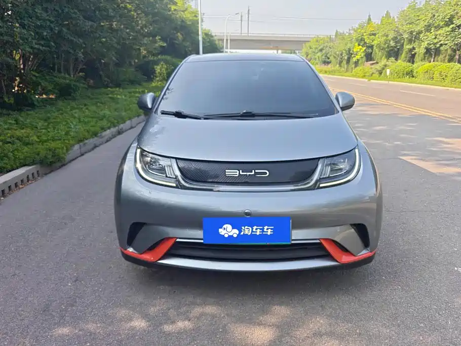 BYD Dolphin 2022