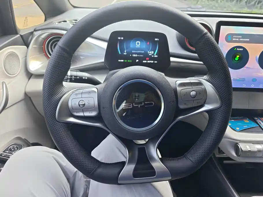 BYD Dolphin 2022 — фото 15