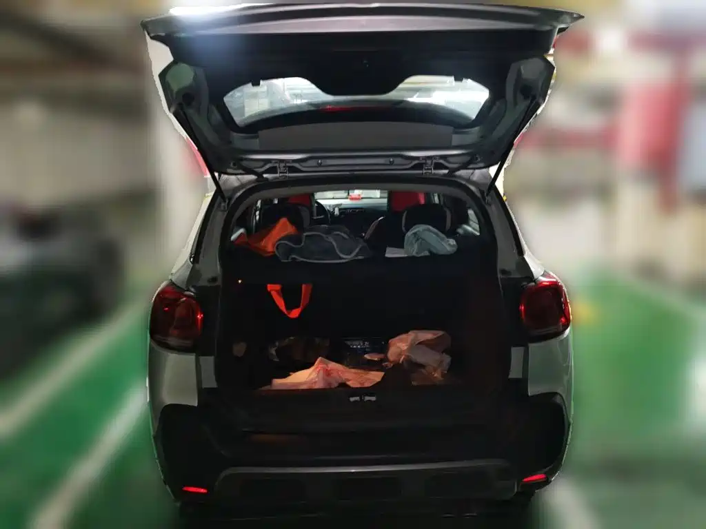 Citroën C4 Aircross 2019 — фото 10