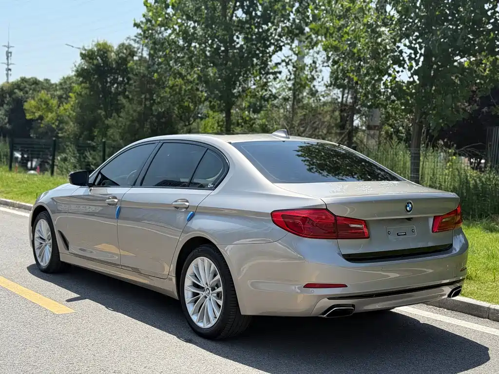 BMW 5 Series 2019