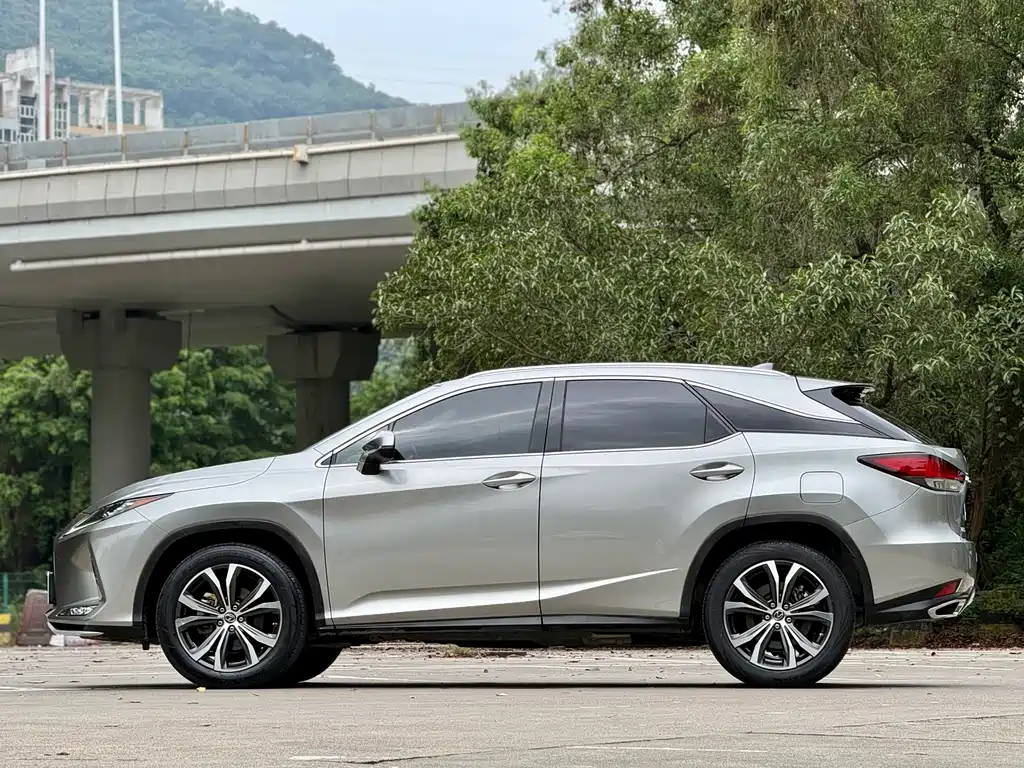 Lexus RX 2020 — фото 18