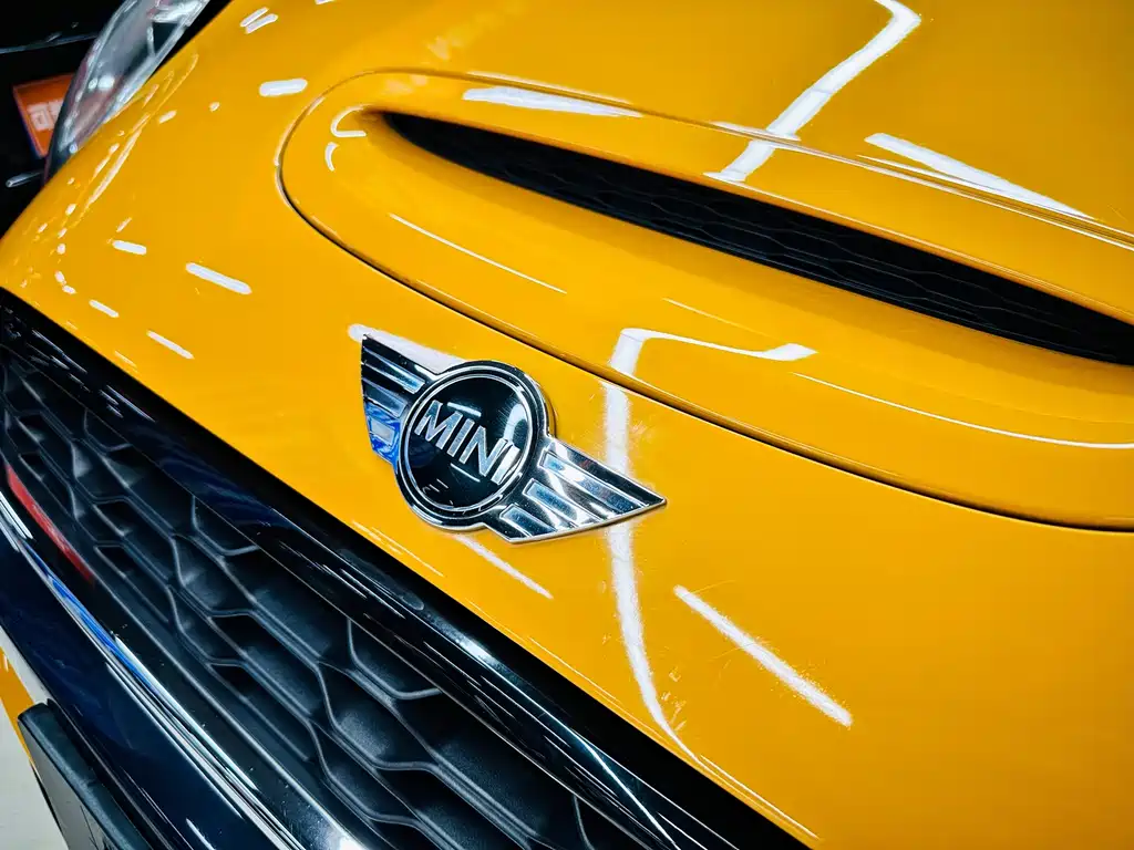 MINI MINI 2016 — фото 20