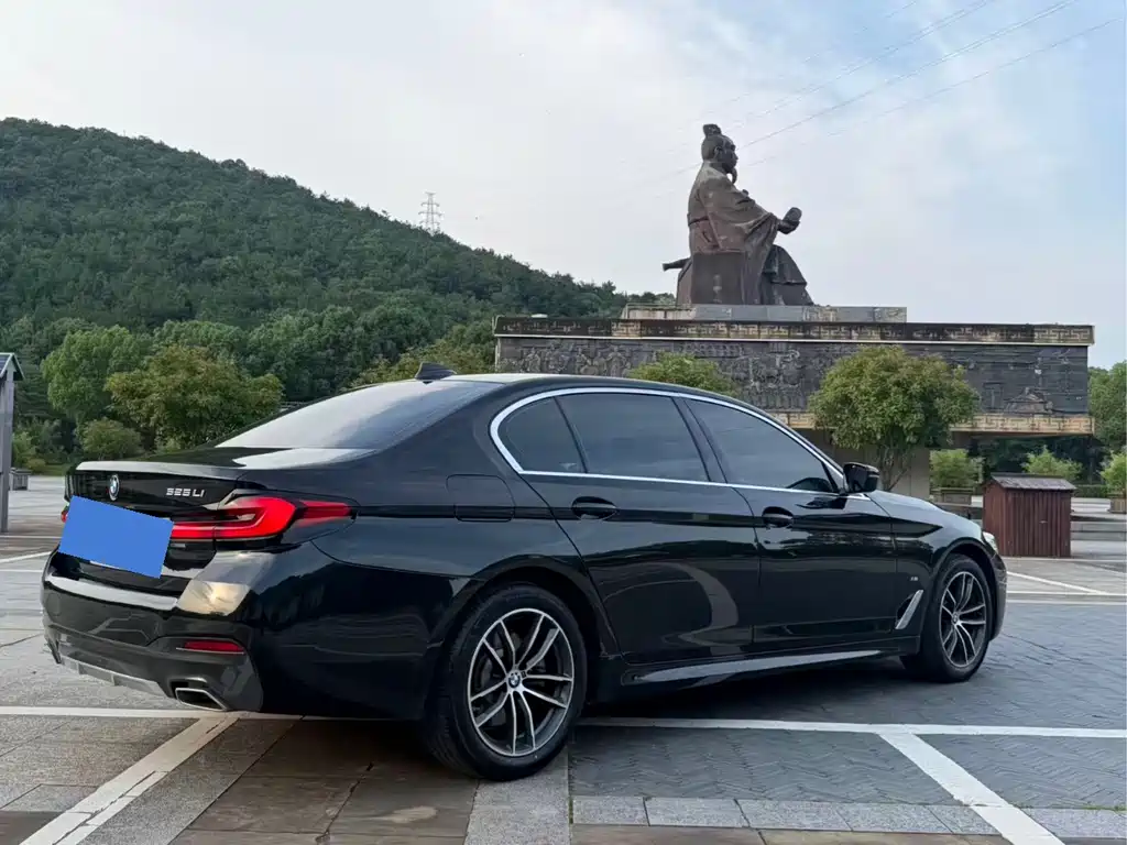 BMW 5 Series 2021