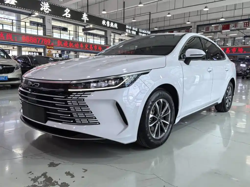 BYD Destroyer 05 2024
