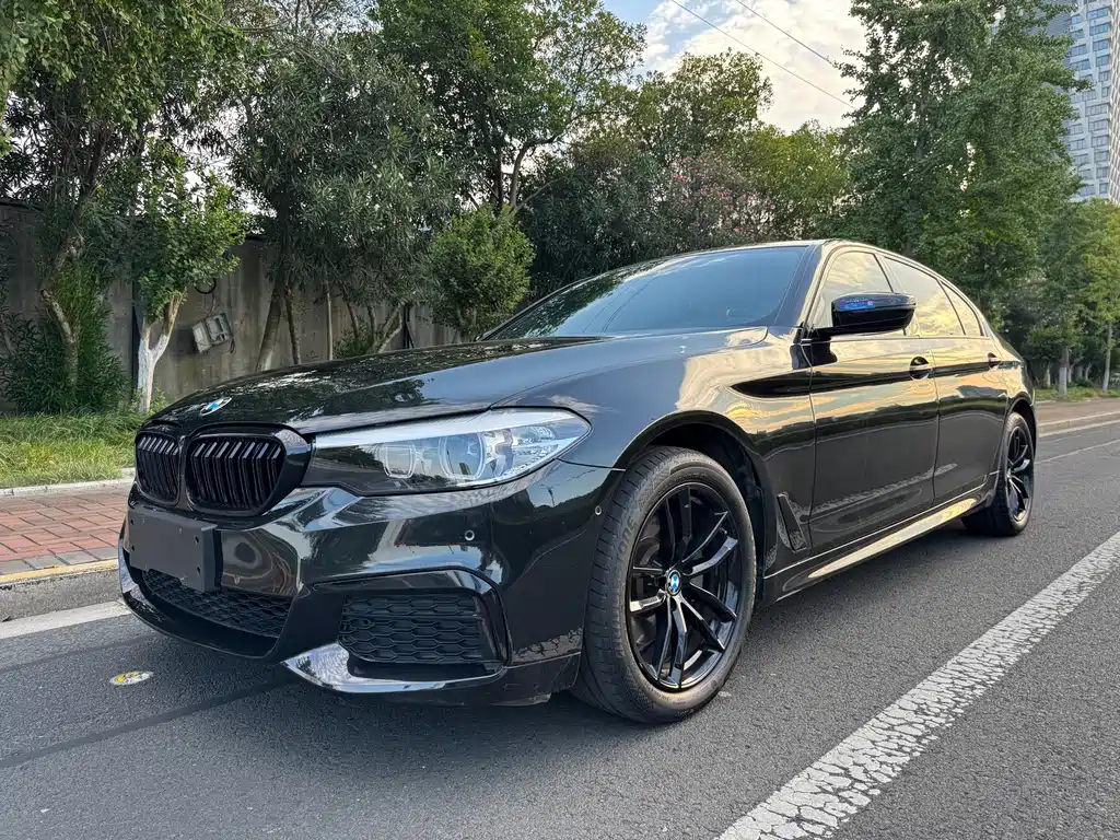BMW 5 Series 2019