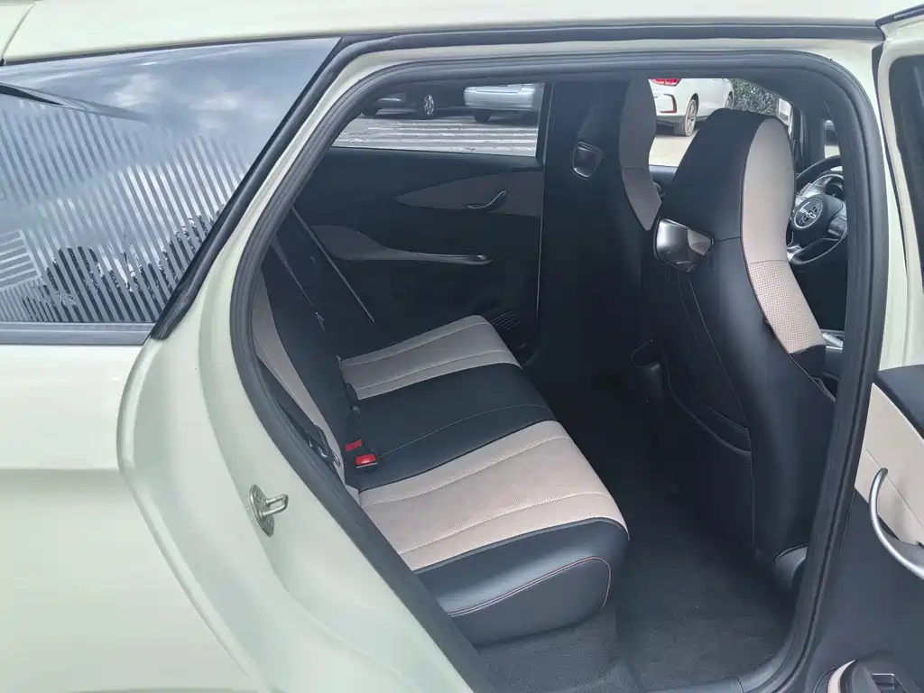 BYD Dolphin 2024