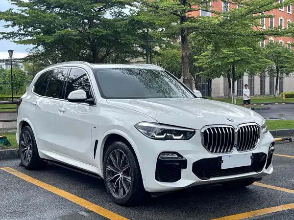 BMW X5 2022