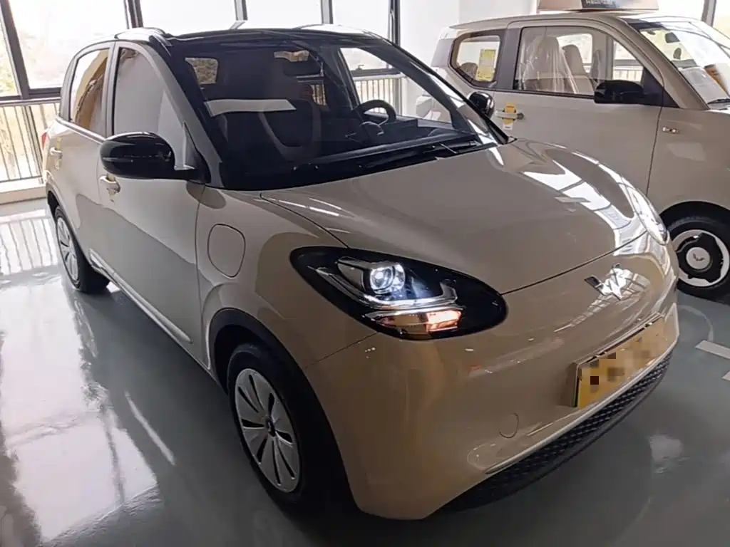 Wuling Bingo 2024