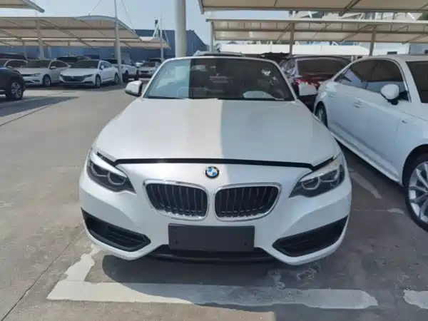 BMW 2 Series 2018