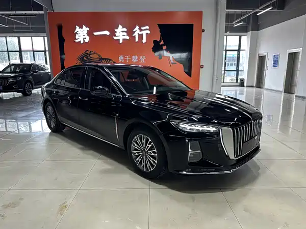 Hongqi H5 2024