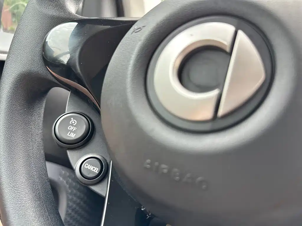smart fortwo 2019 — фото 22
