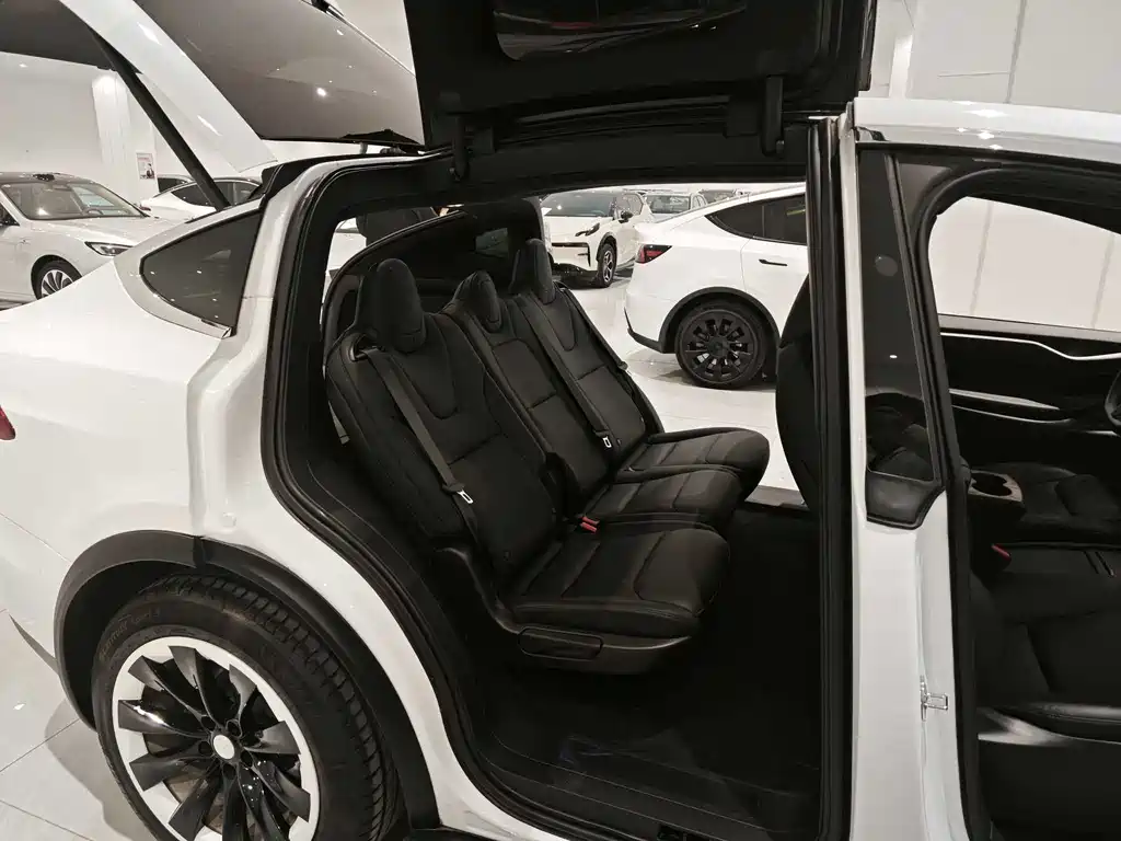Tesla Model X 2020 — фото 10