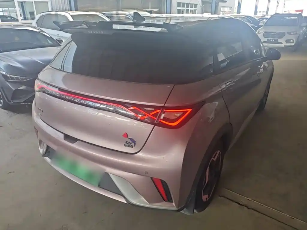 BYD Dolphin 2022