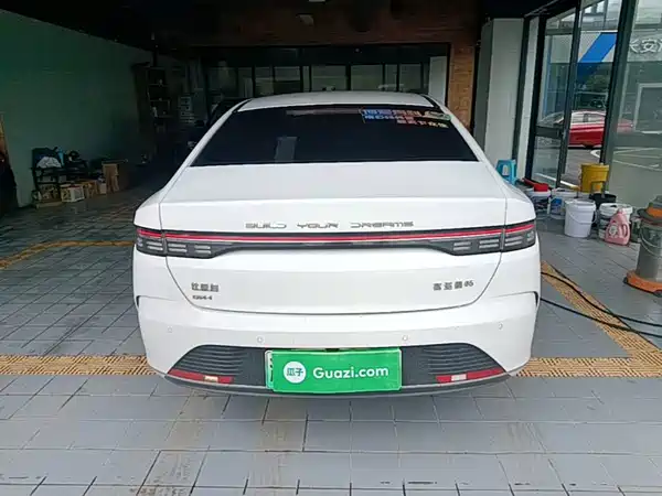 BYD Destroyer 05 2024
