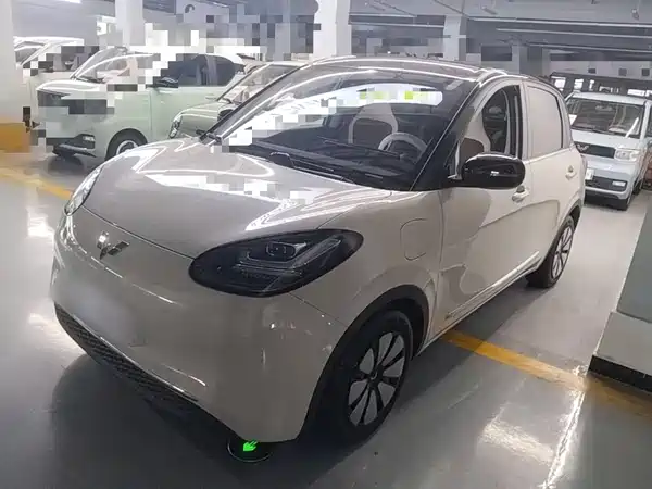 Wuling Bingo 2024