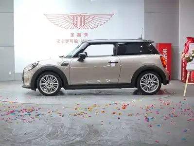 MINI MINI 2022
