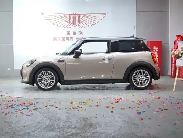 MINI MINI 2022