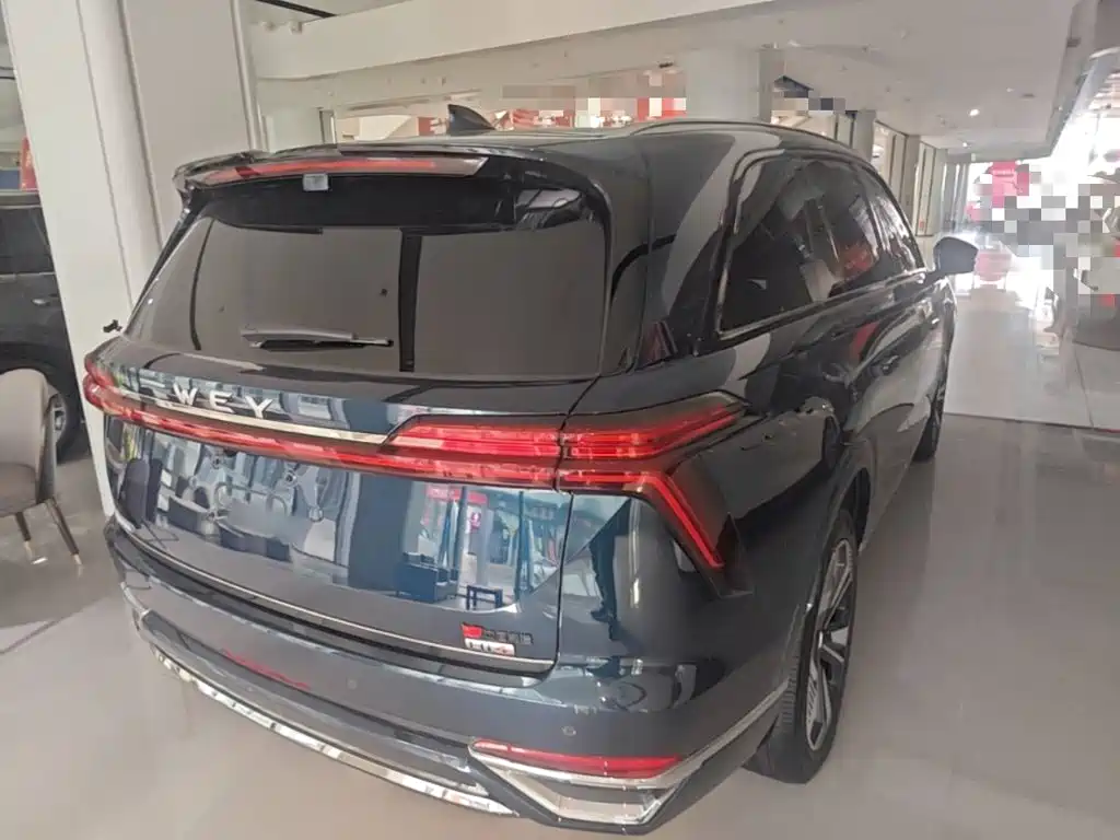 Wey Lanshan 2024