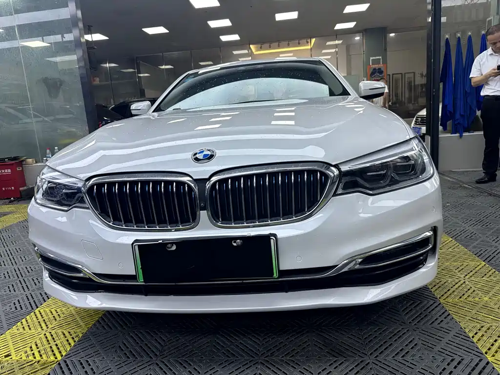 BMW 5 Series New Energy 2019