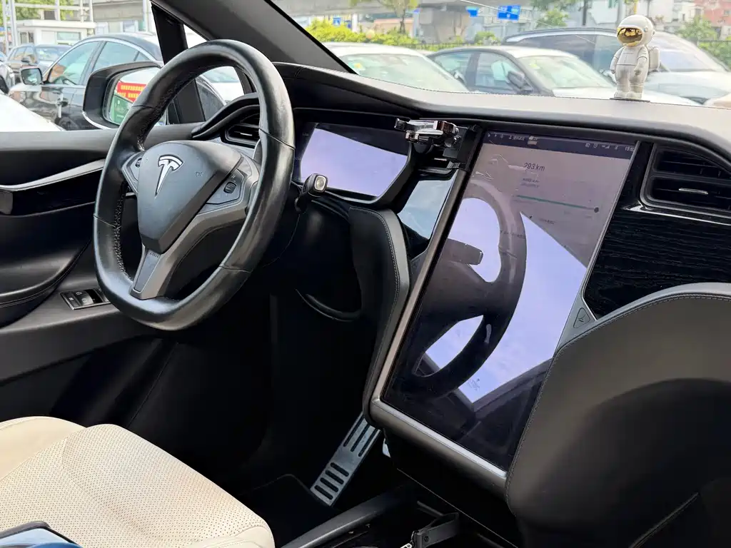 Tesla Model X 2019 — фото 14