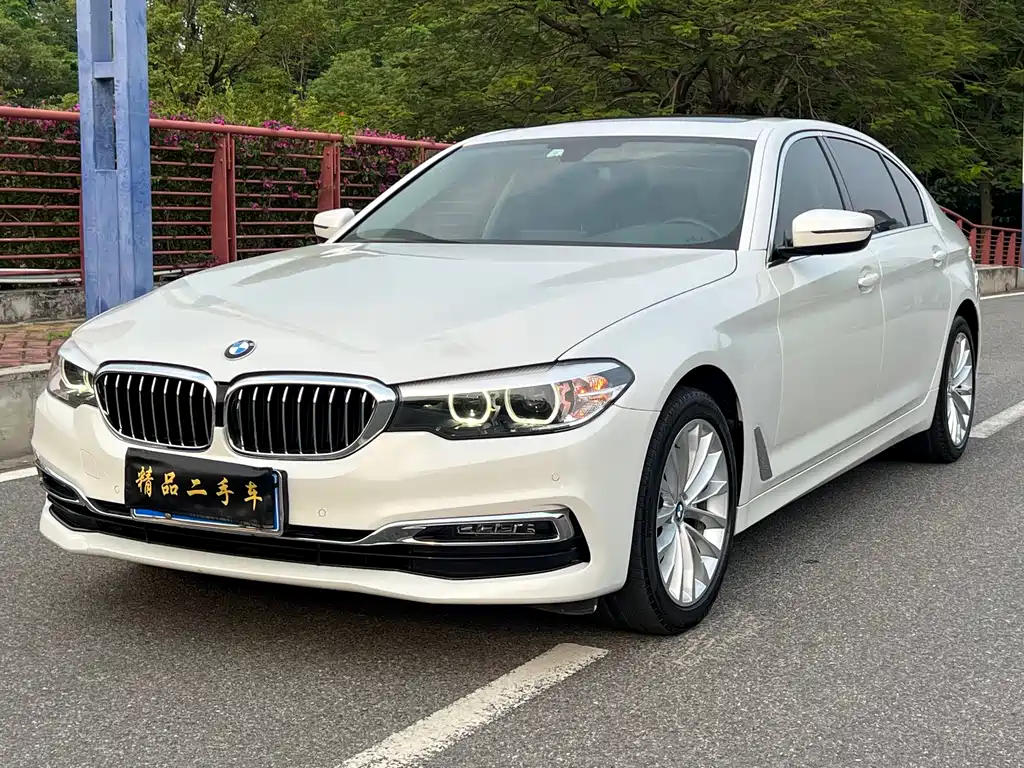 BMW 5 Series 2019 — фото 1