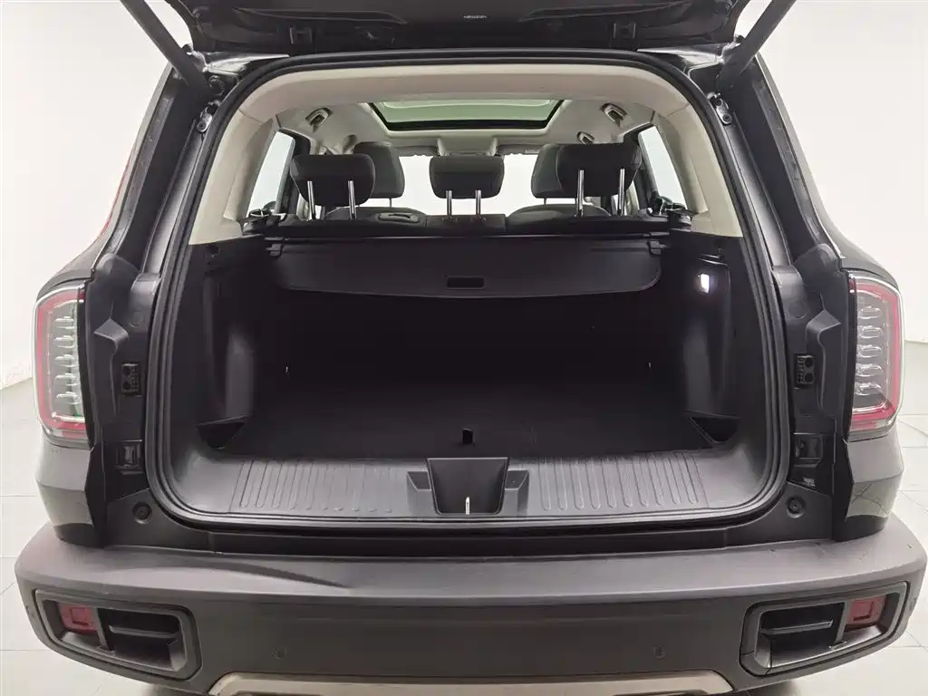 Haval Big Dog 2020 — фото 16
