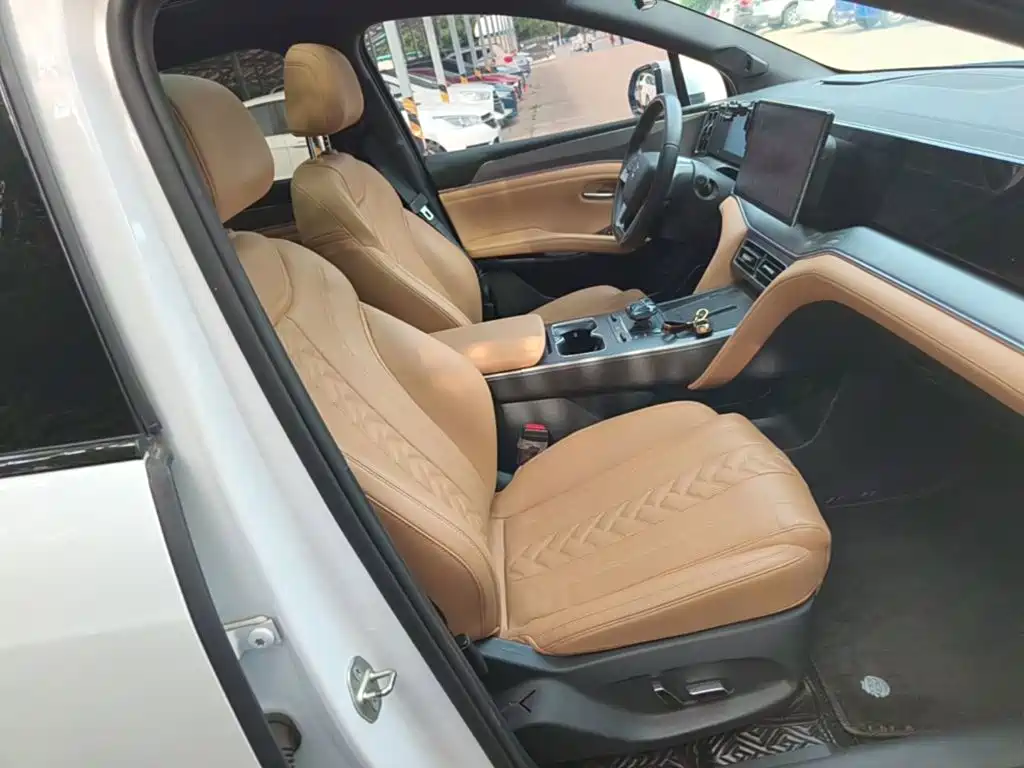 BYD L DM-i 2024 — фото 25