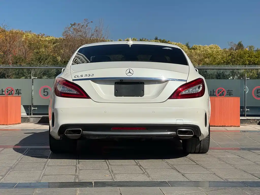 Mercedes-Benz CLS 2016 — фото 9