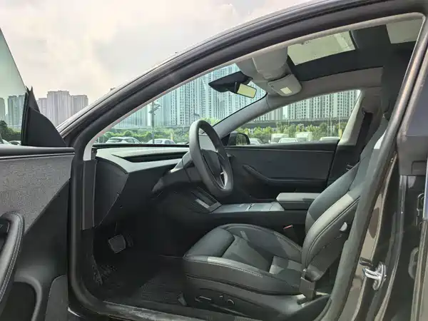 Tesla Model 3 2025