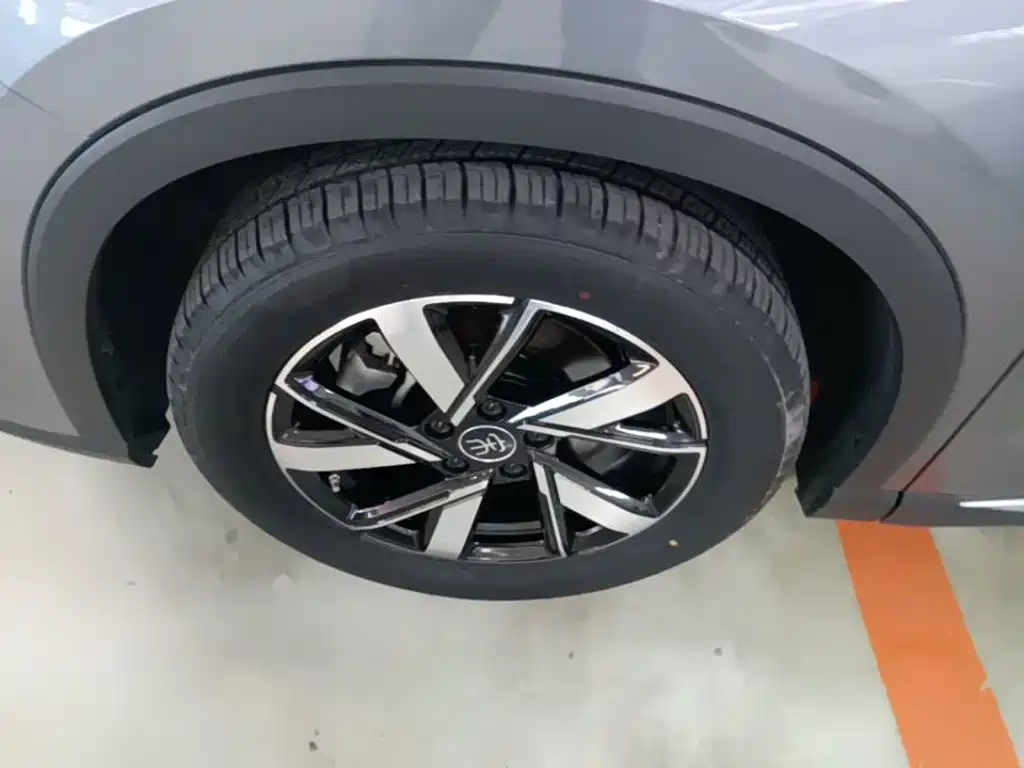BYD Pro New Energy 2024 — фото 23