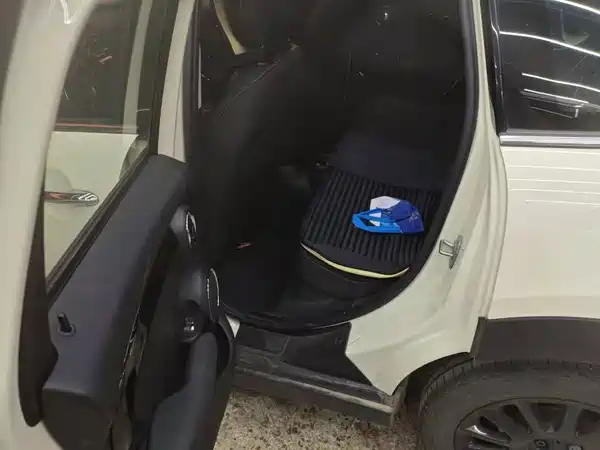 MINI MINI 2021
