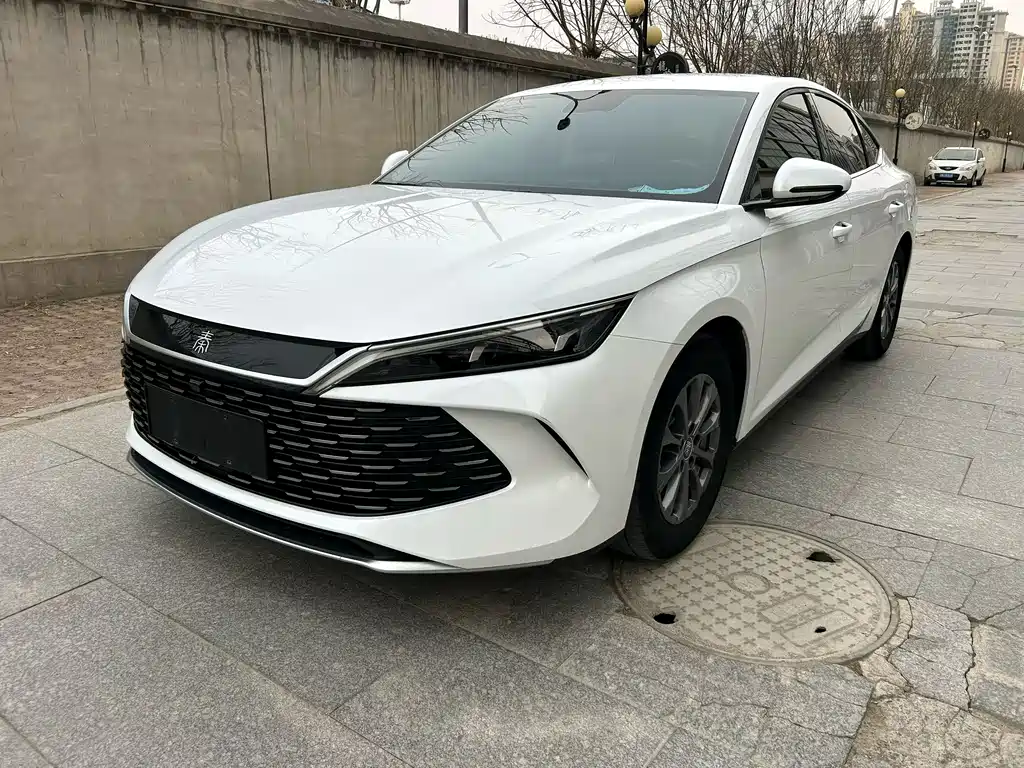 BYD Qin L 2024 — фото 1